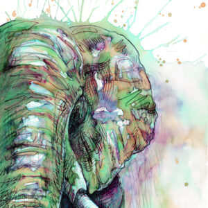 Alfie the Elephant