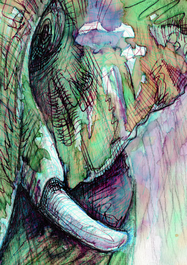 Alfie the Elephant - Image 3
