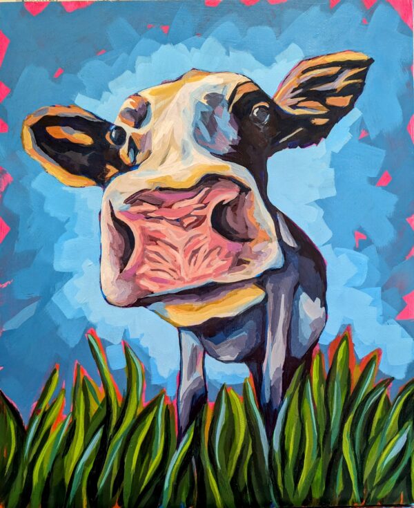 The Curious Cow