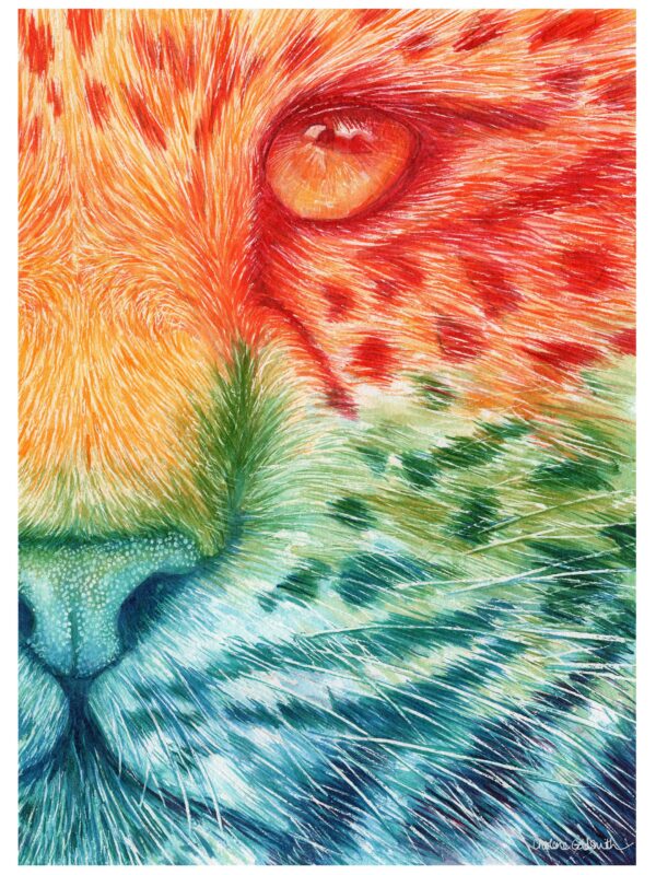 Colourful Ink Leopard