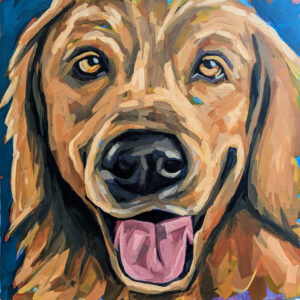 Lucky the Labrador