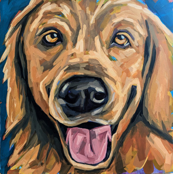 Lucky the Labrador