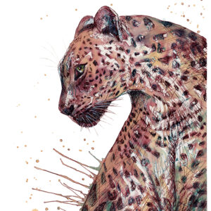 Leonora the Leopard