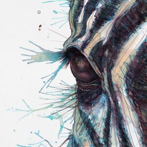 A Zebra called Alice