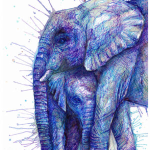 A Mothers Love (Mother and baby elephant)