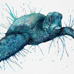 Stuart the Sea Turtle